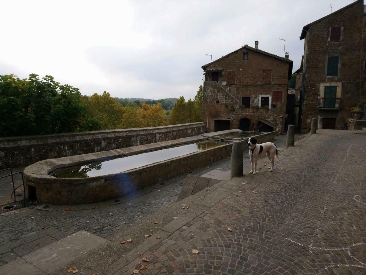 Nerone'S - Sutri Bed & Dinner Exteriör bild
